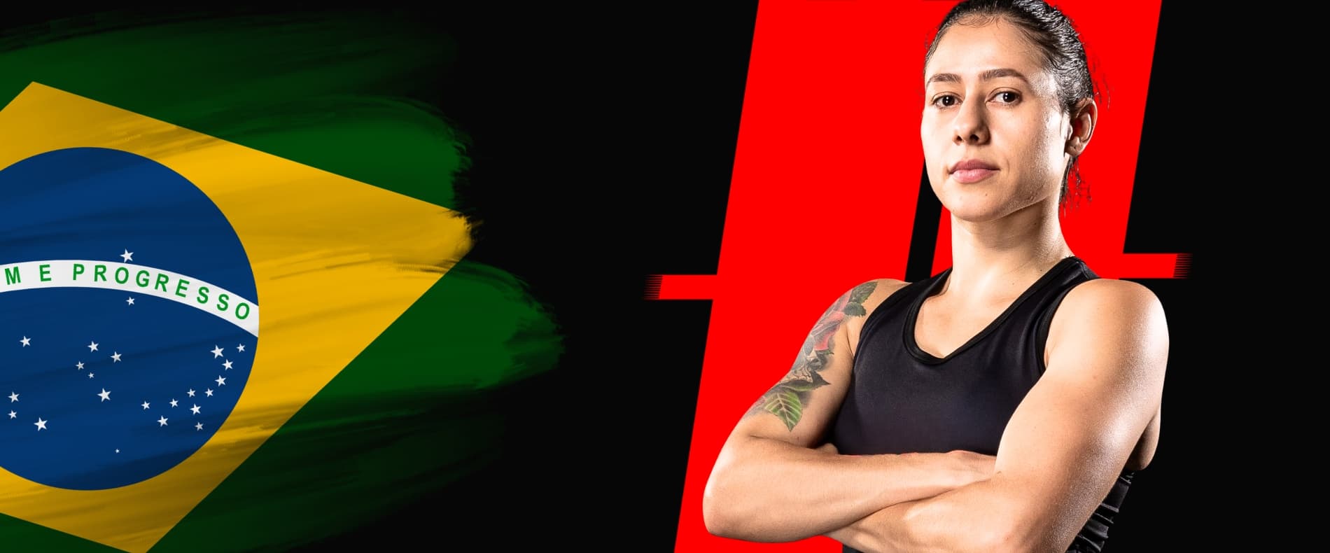 Ana Carolina Accetti (Pedrita) — fundo do hero (desktop)